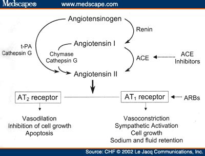losartan a beta blocker|Losartan: Dosage, Mechanism/Onset of Action, Half.